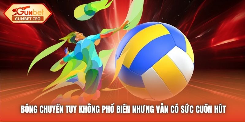 Bóng chuyền tuy không phổ biến nhưng vẫn có sức cuốn hút