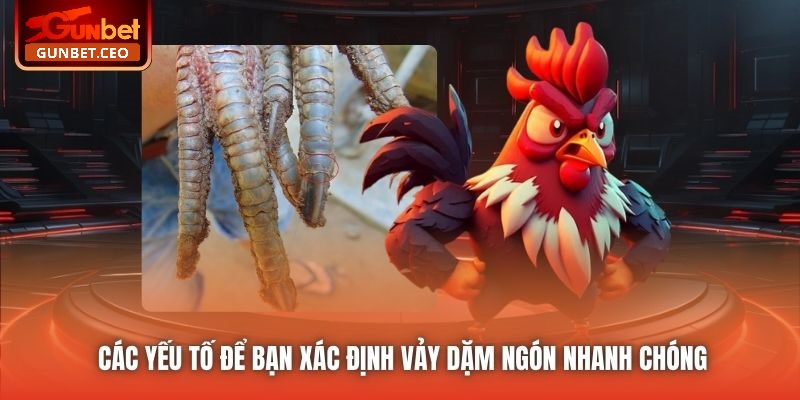 Các yếu tố để bạn xác định vảy dặm ngón nhanh chóng