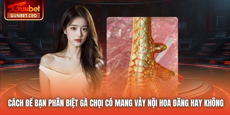 Cách để bạn phân biệt gà chọi có mang vảy nội hoa đăng hay không