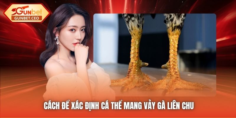 Cách để xác định cá thể mang vảy gà liên chu