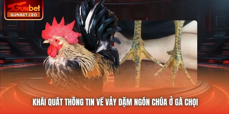 Khái quát thông tin về vảy dặm ngón chúa ở gà chọi