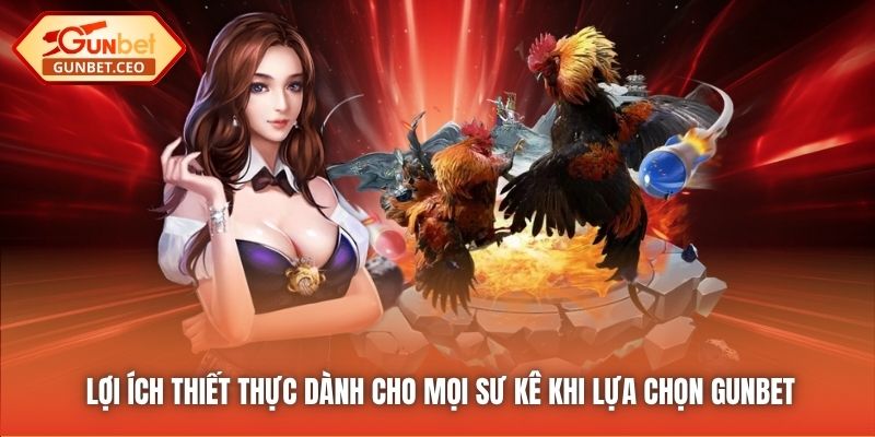 Lợi ích thiết thực dành cho mọi sư kê khi lựa chọn Gunbet