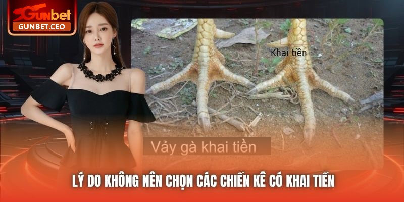 Lý do không nên chọn các chiến kê có khai tiền