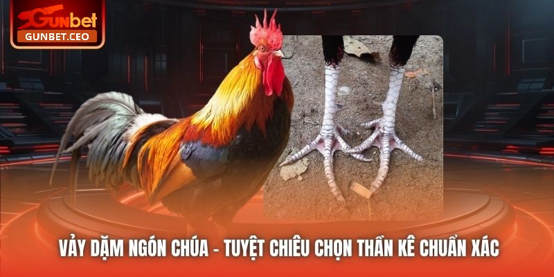 Vảy Dặm Ngón Chúa - Tuyệt Chiêu Chọn Thần Kê Chuẩn Xác