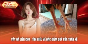 Vảy Gà Liên Chu - Tìm Hiểu Về Đặc Điểm Quý Của Thần Kê