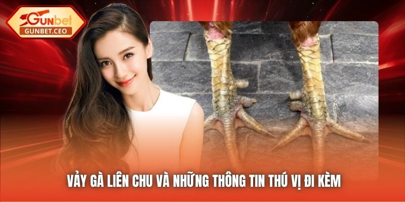 Vảy gà liên chu và những thông tin thú vị đi kèm