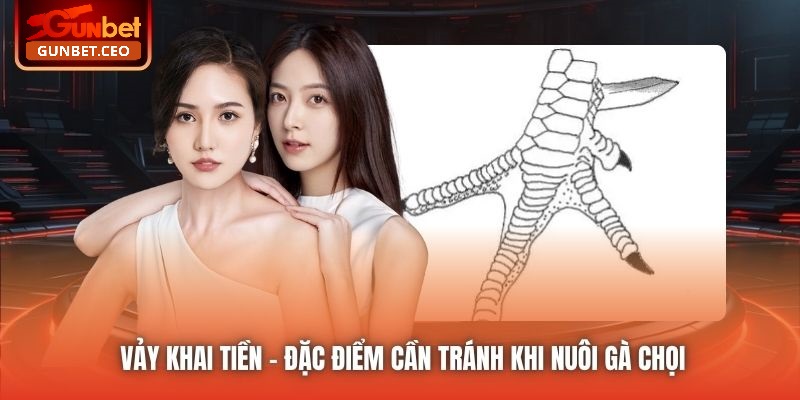 Vảy khai tiền - Đặc điểm cần tránh khi nuôi gà chọi