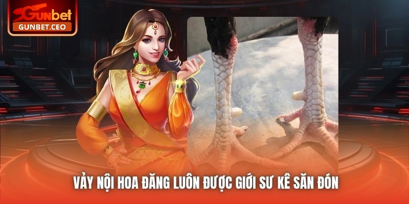 Vảy nội hoa đăng luôn được giới sư kê săn đón