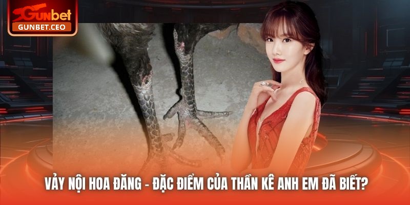 Vảy Nội Hoa Đăng - Đặc Điểm Của Thần Kê Anh Em Đã Biết?